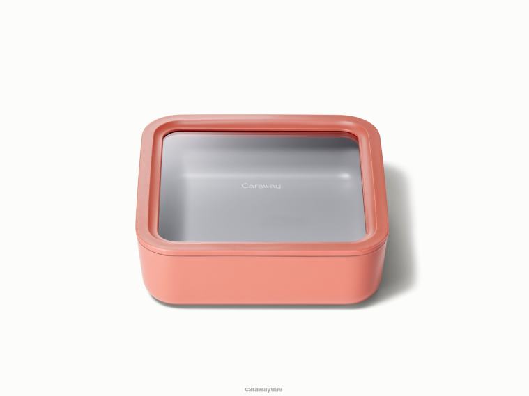 Caraway بيراكوتا حاوية تخزين المواد الغذائية تجهيزات المطابخ 2DR4J216 Caraway بيراكوتا حاوية تخزين المواد الغذائية تجهيزات المطابخ 2DR4J216